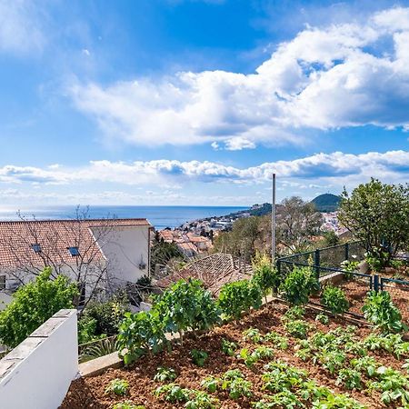 Apartment Debos Дубровник Екстериор снимка